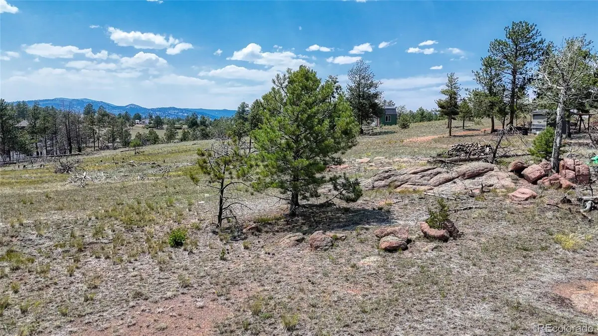 617 Chateau Vista, Florissant, CO 80816 - #1