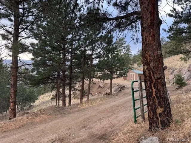 1049 Spencer Mountain Road, Bellvue, CO 80512 - #2