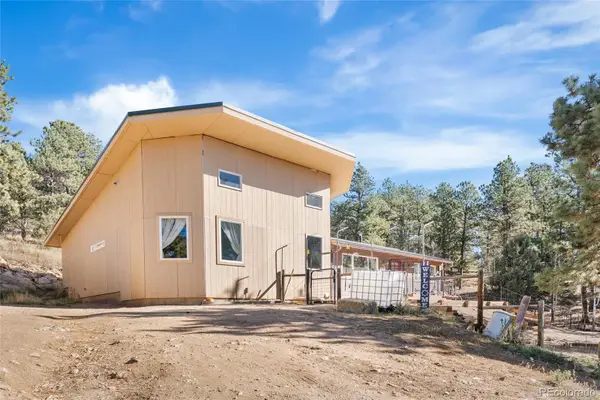 947 Sleepy Hollow Drive, Bailey, CO 80421