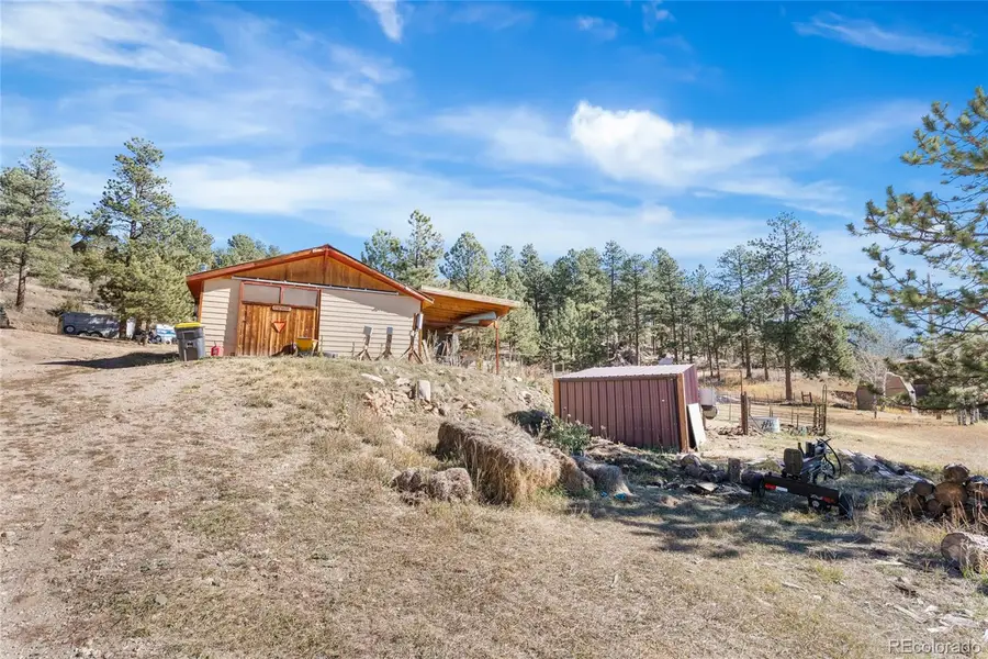 947 Sleepy Hollow Drive, Bailey, CO 80421 - Image #3