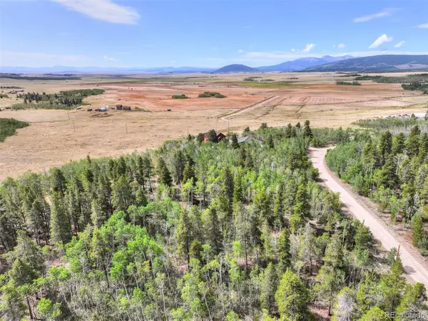 242 Green Bottle Circle, Fairplay, CO 80440
