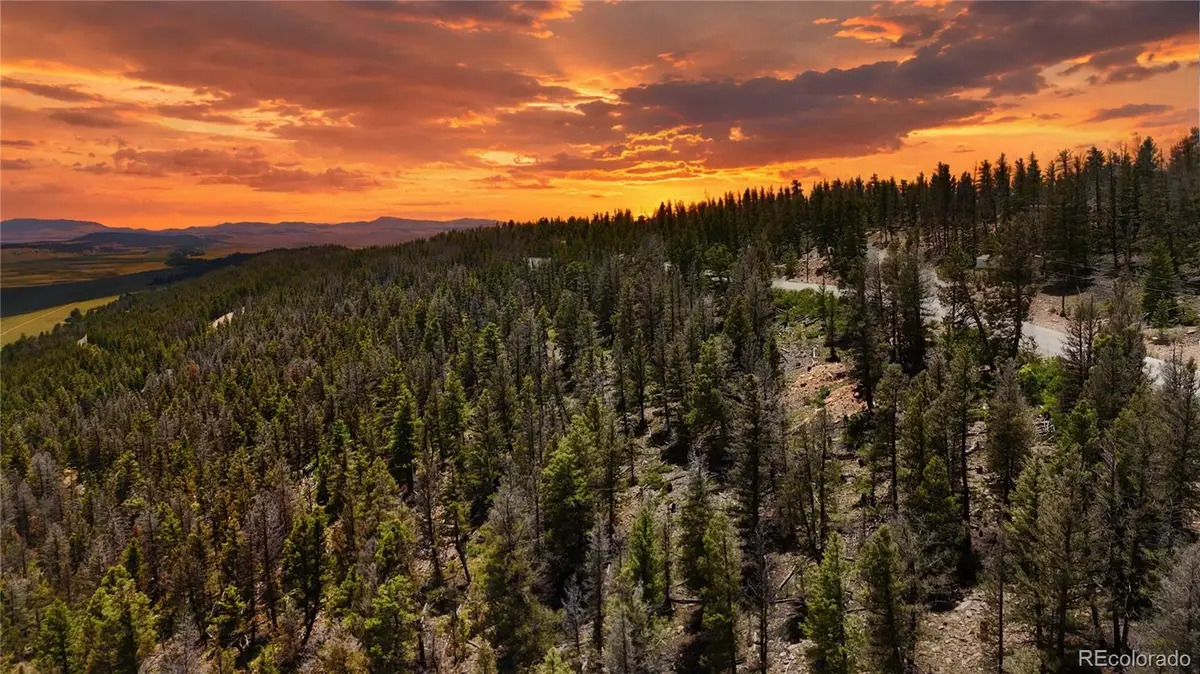 1396 Middle Fork Vista, Fairplay, CO 80440 - #1