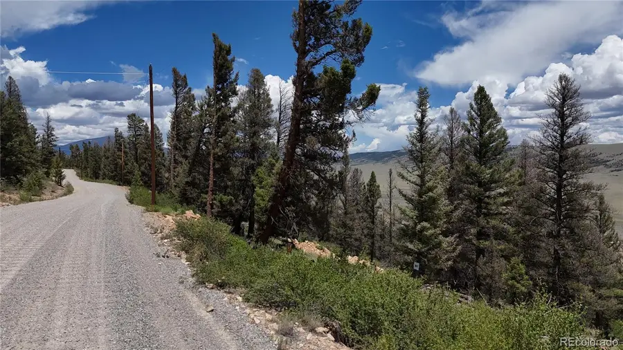 1396 Middle Fork Vista, Fairplay, CO 80440 - #3