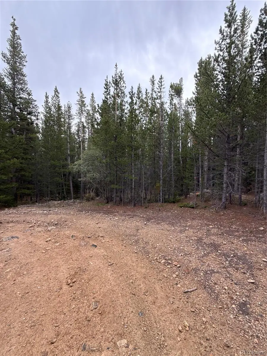 111 Green Court, Idaho Springs, CO 80452 - #2