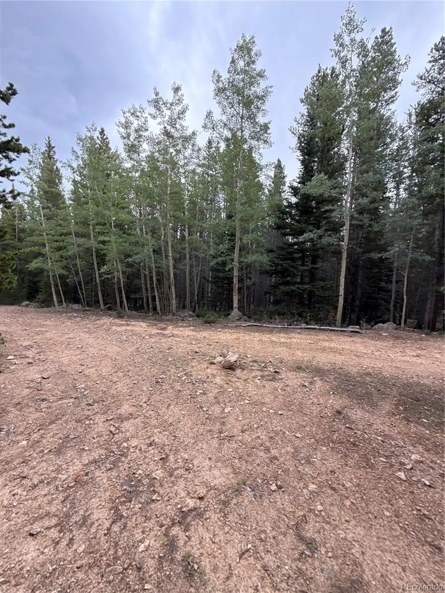 111 Green Court, Idaho Springs, CO 80452 - #3