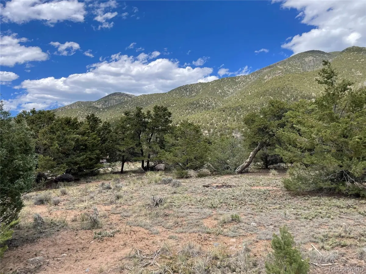 4303 Fallen Tree, Crestone, CO 81131 - #1