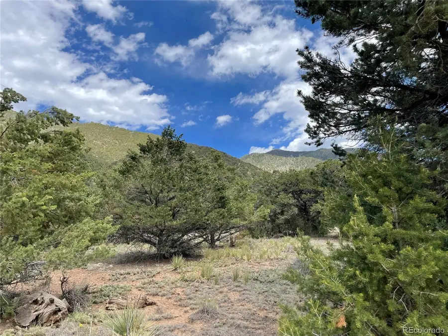 4303 Fallen Tree, Crestone, CO 81131 - #3
