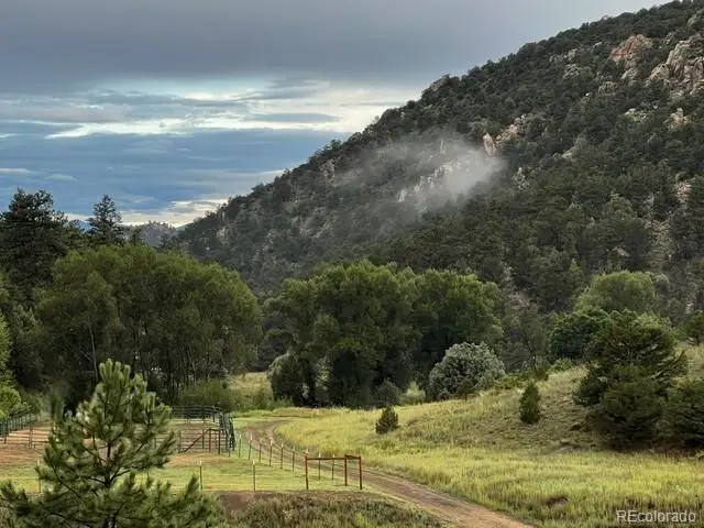 1420 Coyote Run, Cotopaxi, CO 81223 - #2