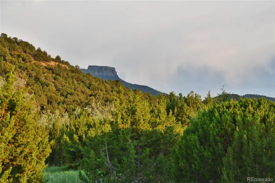 406 Riata Drive, Trinidad, CO 81082 - #3