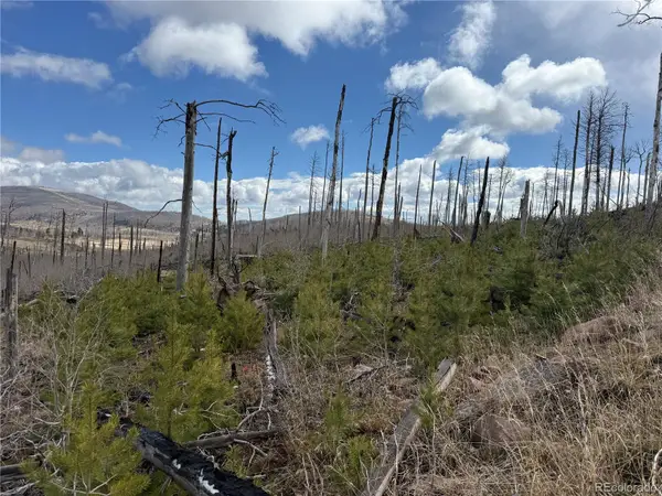 Lot 1960 Hilda Lane, Fort Garland, CO 81133