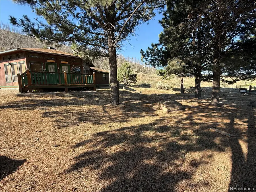 27833 Co Rd Nn, Fort Garland, CO 81133 - #2