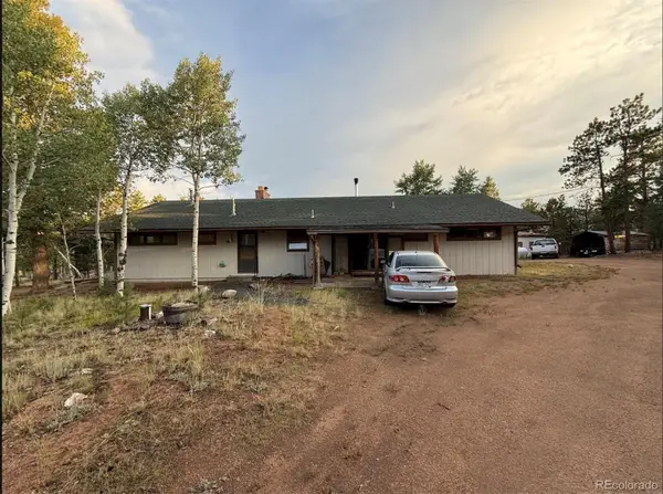 98 Two Bits Street, Bailey, CO 80241
