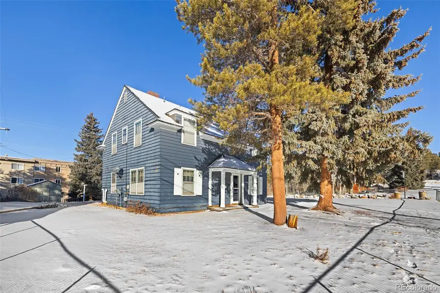 1608 Mount Massive Drive, Leadville, CO 80461 - #2