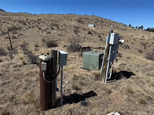 184 Carpenter Trail, Cotopaxi, CO 81223