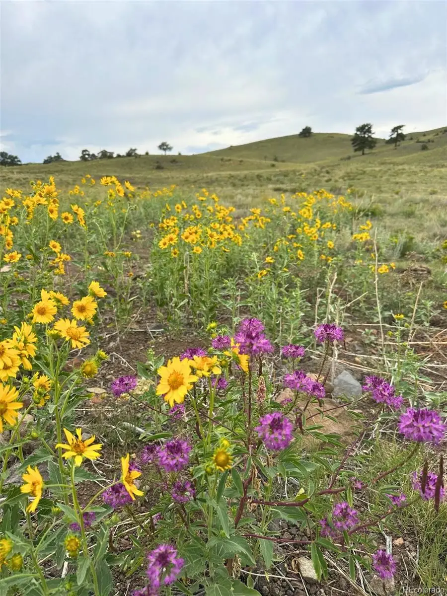 391 Gulch Road, Hartsel, CO 80449 - #3