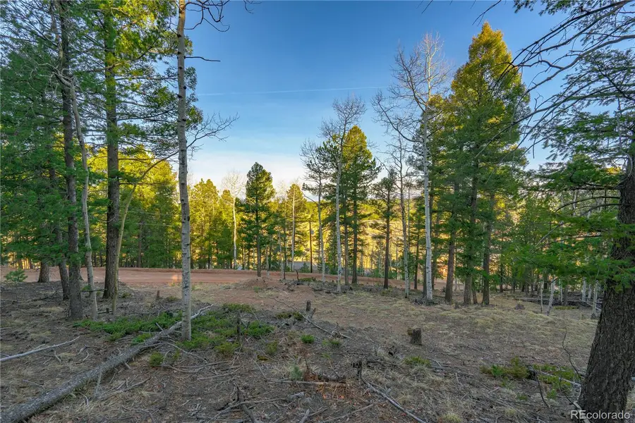 88 Malmsey Lane, Divide, CO 80814 - #3