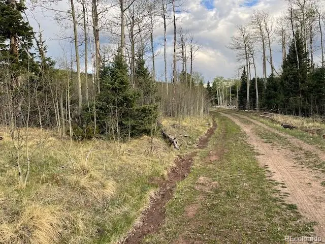 Lot 2610 Lux Lane, Fort Garland, CO 81133 - #1