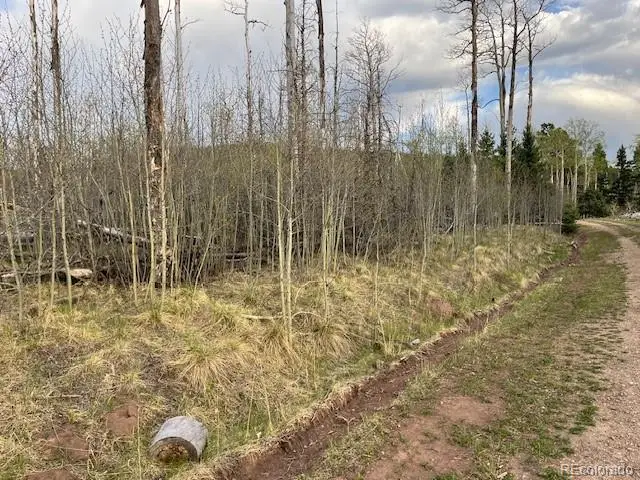 Lot 2610 Lux Lane, Fort Garland, CO 81133 - #2