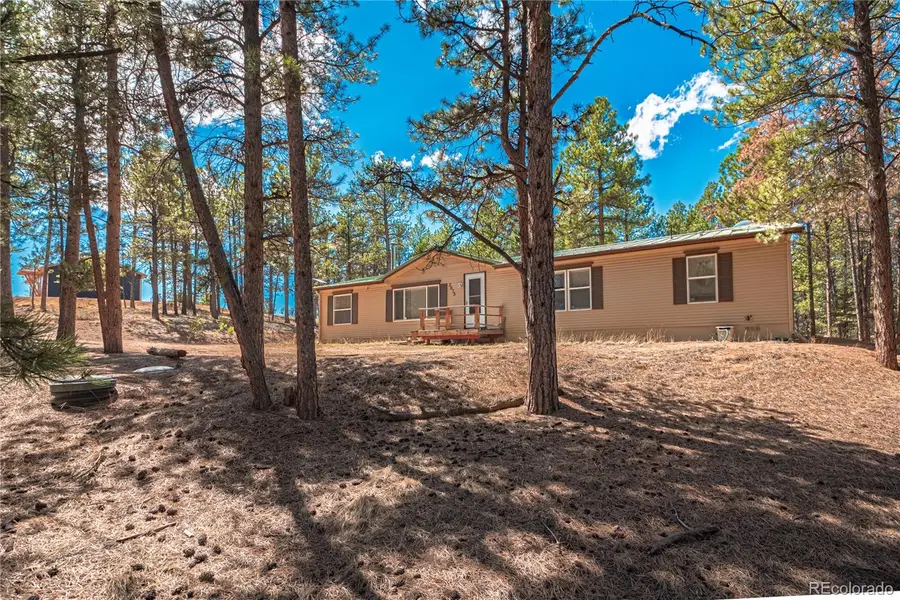 2675 Pikes Peak Drive, Florissant, CO 80816 - #3