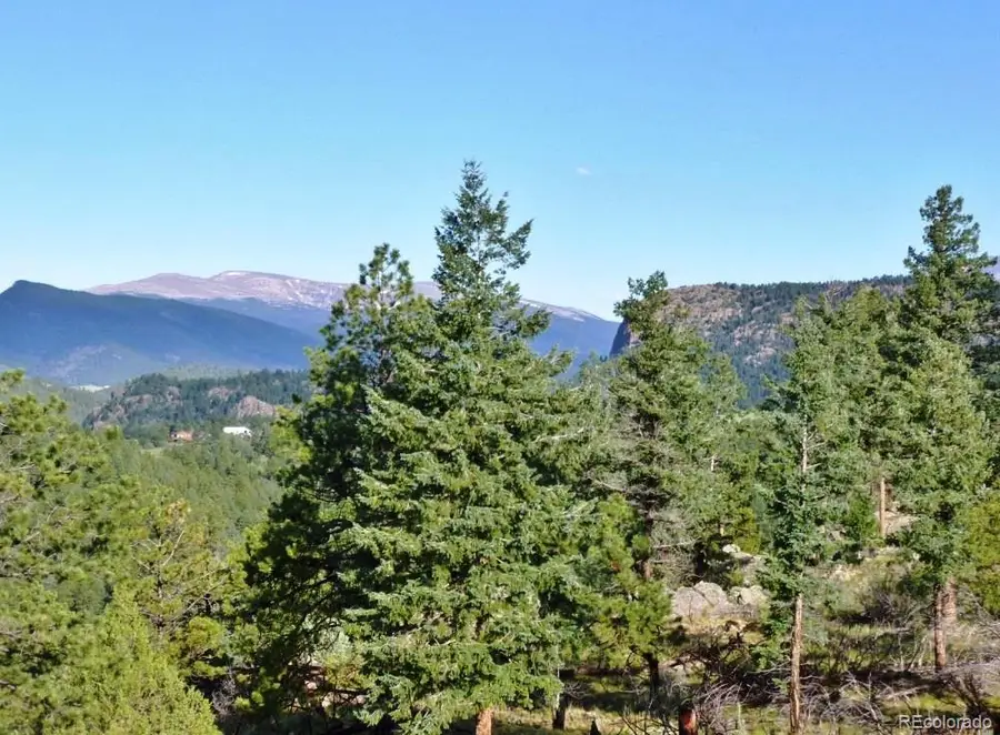 14794 Wetterhorn Peak Trail, Pine, CO 80470 - #3