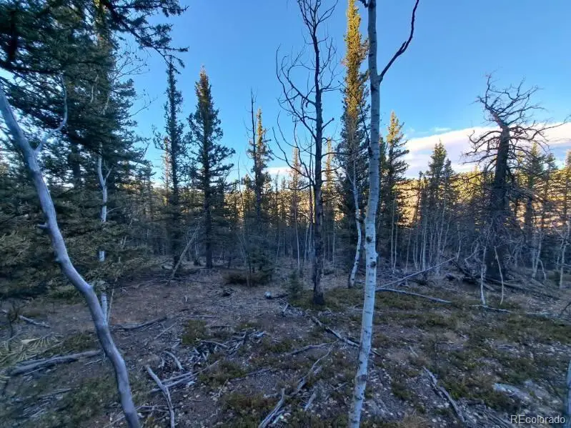 00 Haida Lane, Como, CO 80432 - #1