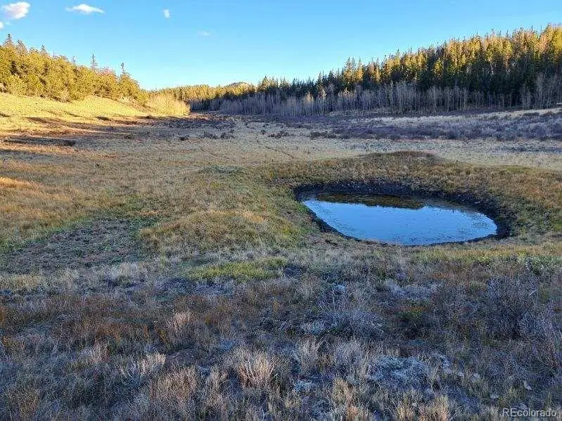 00 Haida Lane, Como, CO 80432 - #2