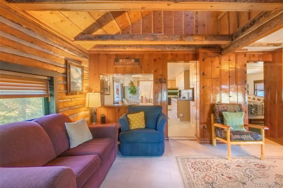 14 Gcr 4451, Grand Lake, CO 80447 - #3
