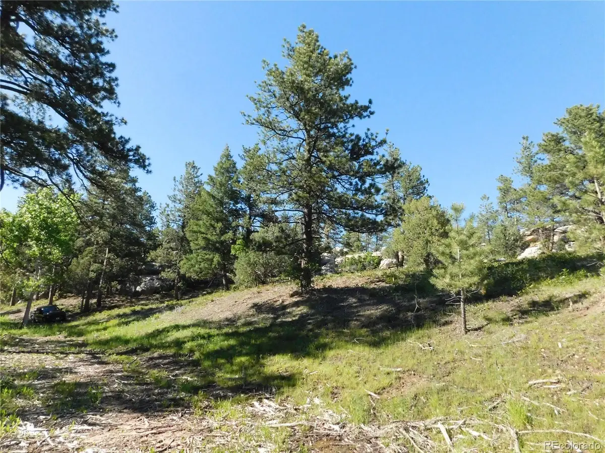 5884 Seminole Trail, Larkspur, CO 80118 - #1