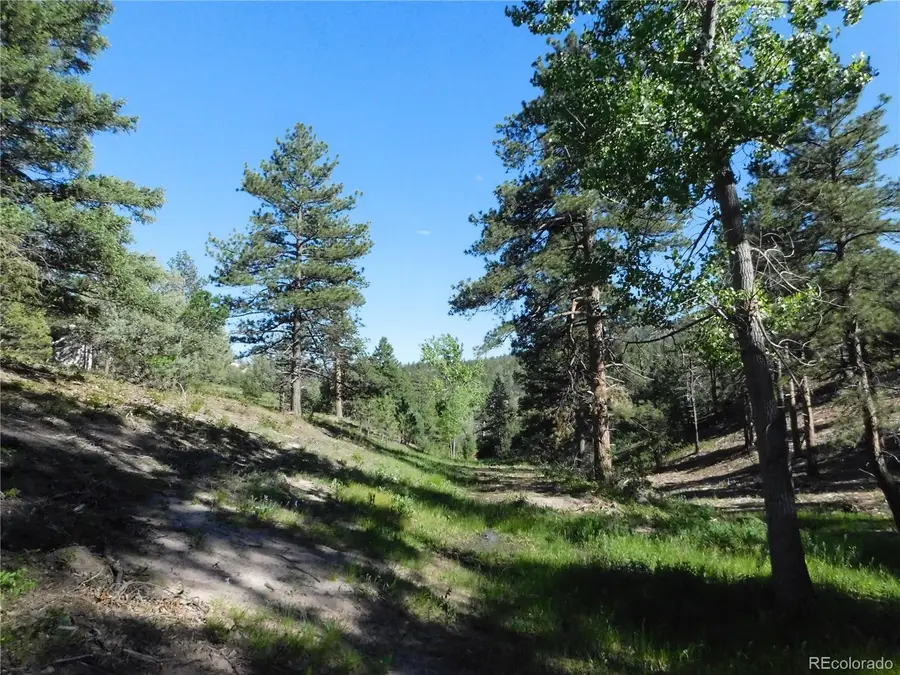 5884 Seminole Trail, Larkspur, CO 80118 - #3