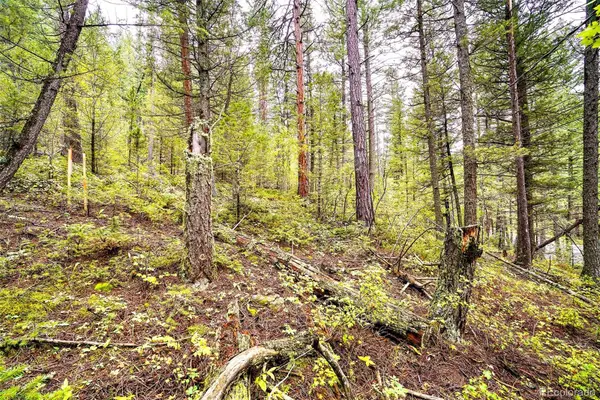 10862-10872 Twin Spruce Road, Golden, CO 80403