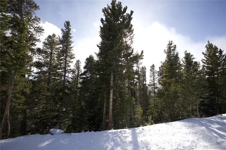 Lot 37 Vista Road, Idaho Springs, CO 80452 - Image #2