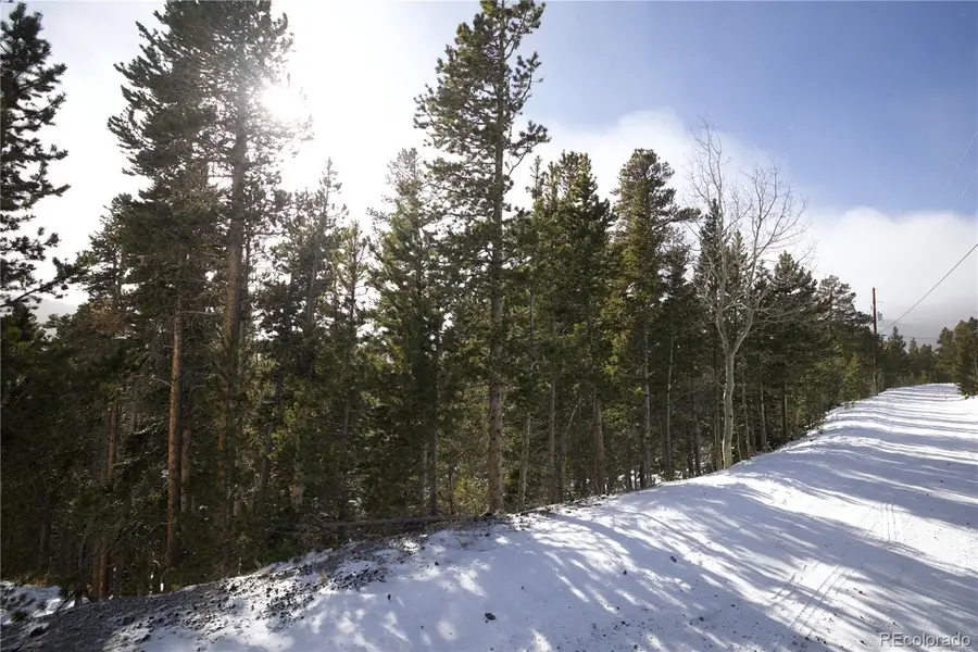 Lot 37 Vista Road, Idaho Springs, CO 80452 - Image #3