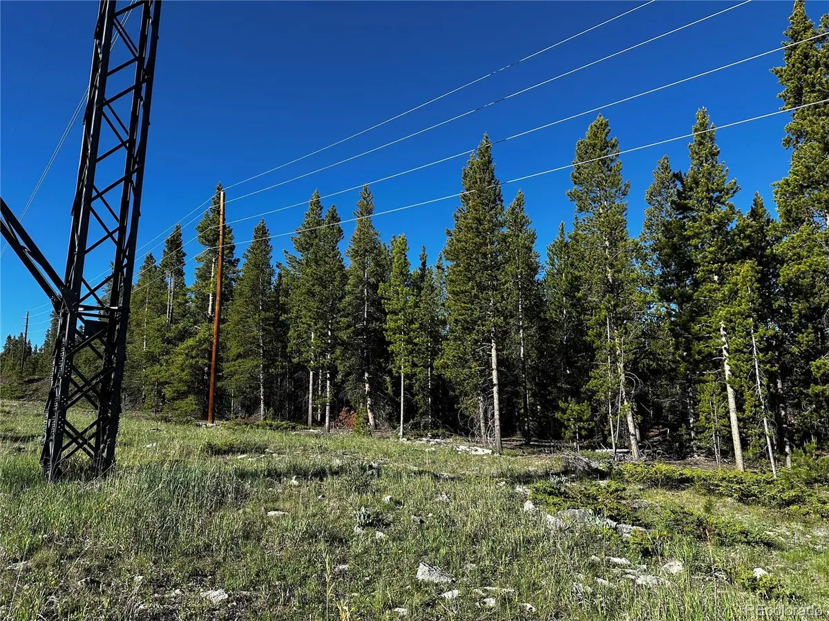 3052 Excelsior, Leadville, CO 80461 - #1