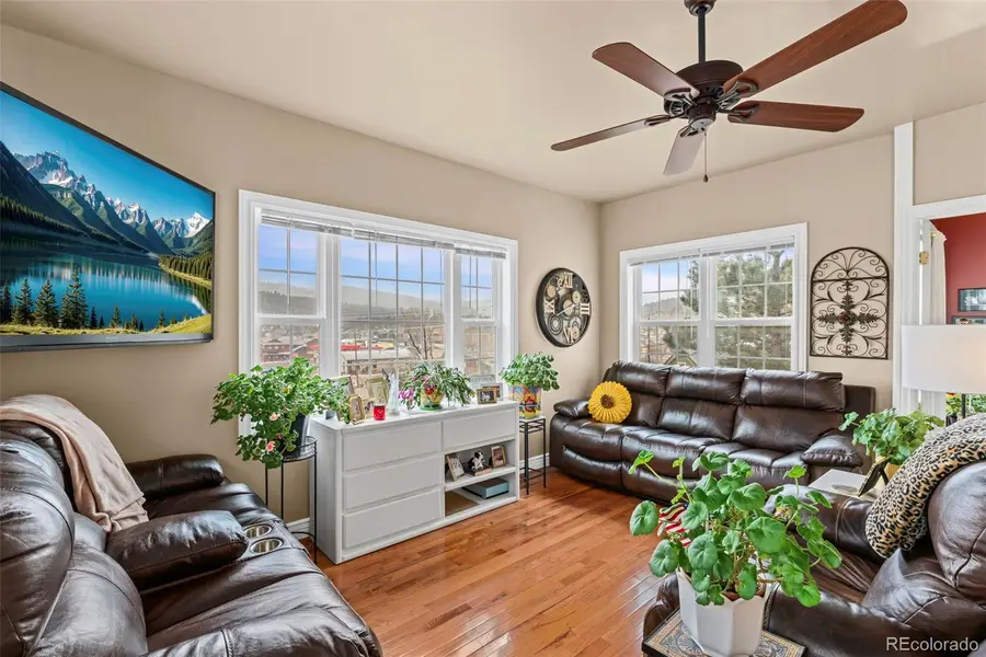 365 N Bridge Street, Nederland, CO 80466 - #3