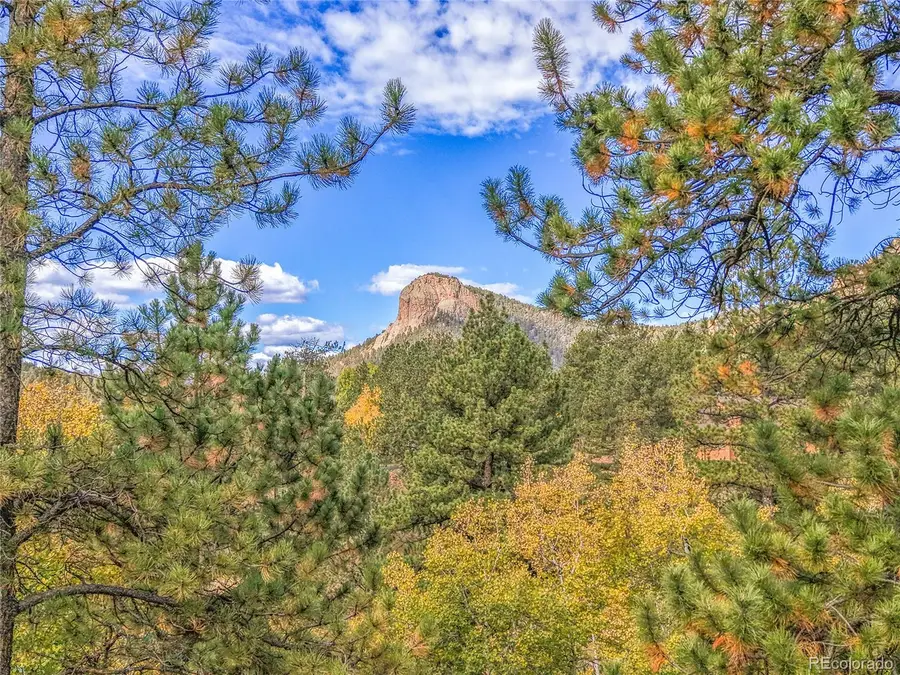 11864 S Stallion Drive, Pine, CO 80470 - #2