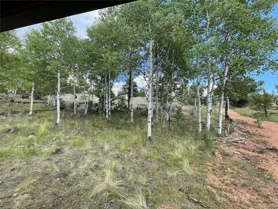 330 Arrowhead Drive, Florissant, CO 80816 - #3