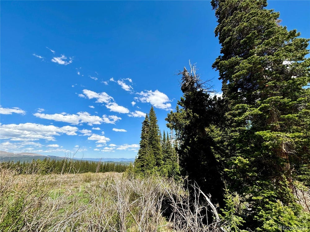 632 & 674 El Lobo Lane, Fairplay, CO 80440 BHGRE