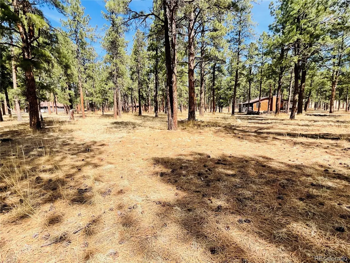 Blk 4 Lot 6, Weston, CO 81091 - #1