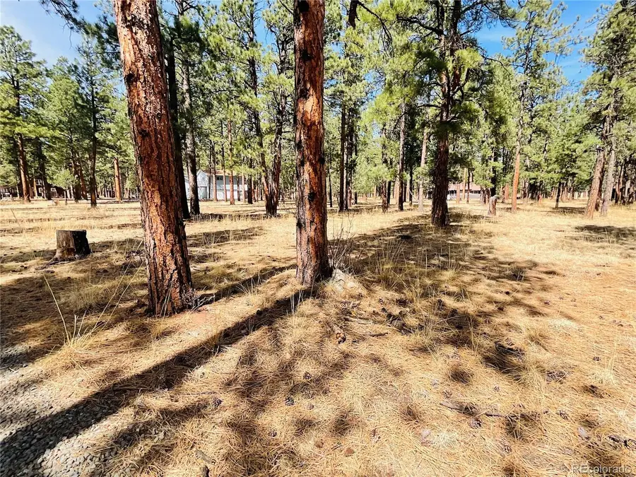Blk 4 Lot 6, Weston, CO 81091 - #2