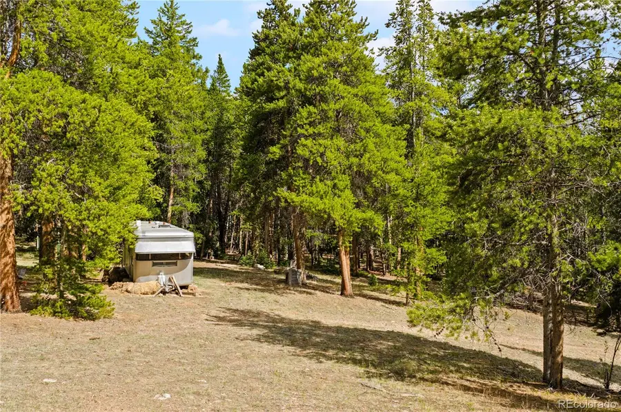 7197 H S M, Lady Gay, Leadville, CO 80461 - #2