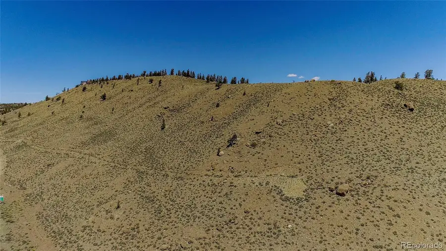 2261 Meteor Placer, Twin Lakes, CO 81251 - #3
