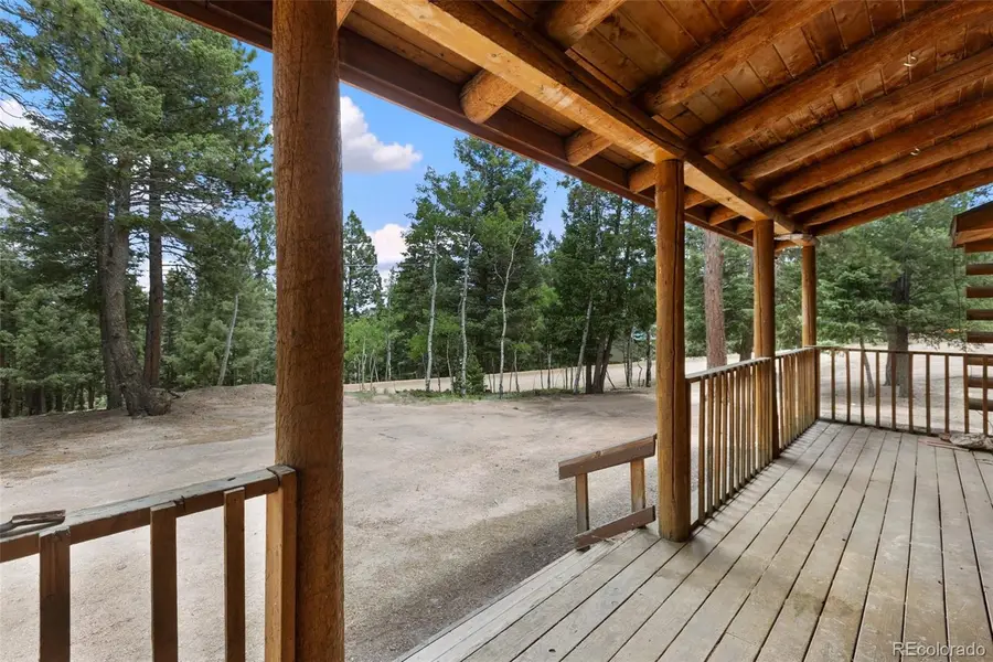 124 Cradle Lake Drive, Divide, CO 80814 - #3