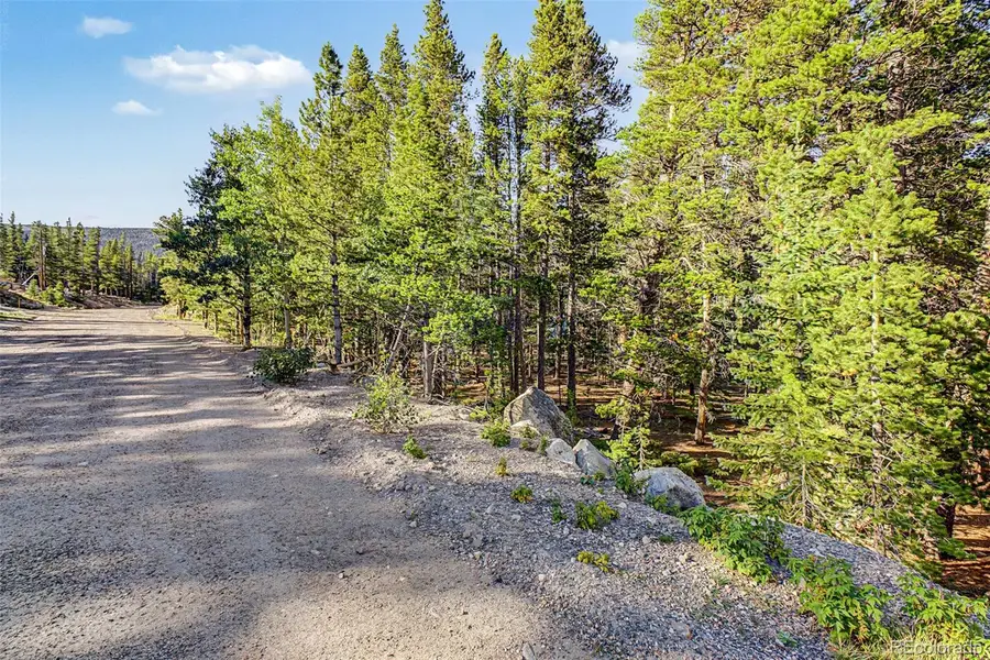 Elk Road, Idaho Springs, CO 80452 - #3