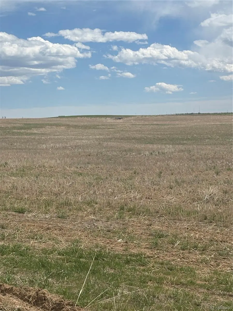 57075 E Maplewood Place, Strasburg, CO 80136 - #3