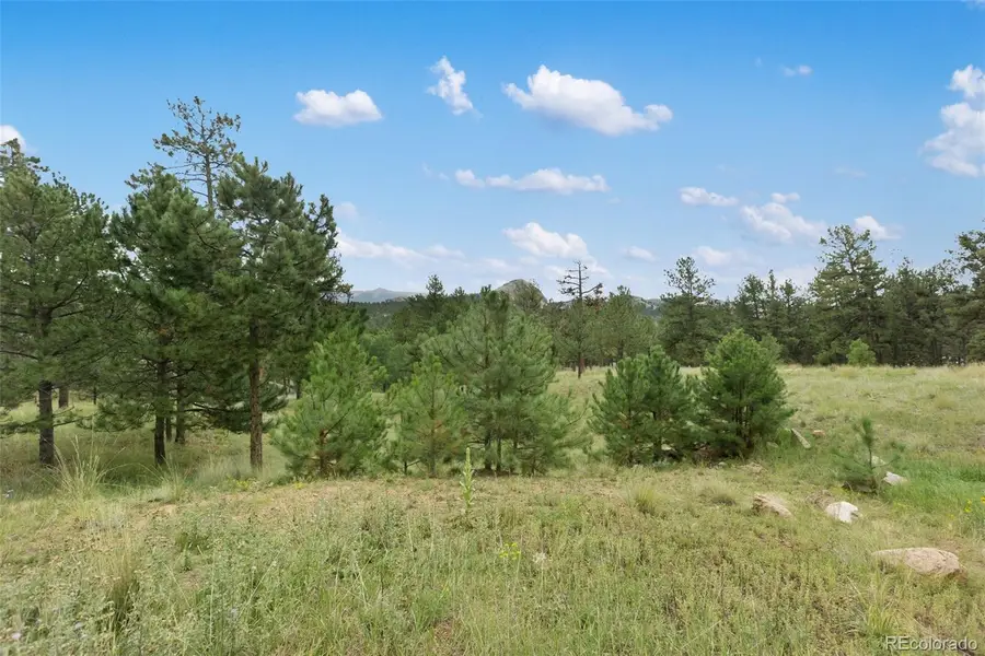 1058 Hackamore Drive, Florissant, CO 80816 - Image #3