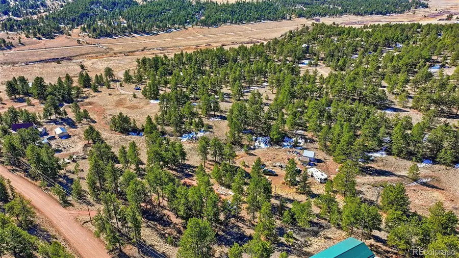 133 Wagon Wheel Road, Guffey, CO 80820 - #3