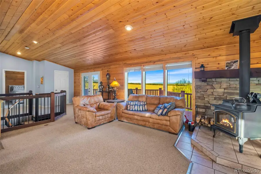 169 Fen Court, Fairplay, CO 80440 - #2