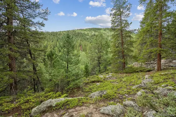 001 Fall River Road, Idaho Springs, CO 80452
