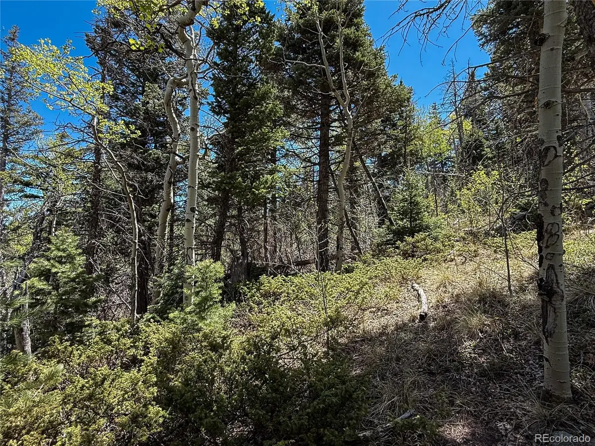 2348 Benton Place, Fort Garland, CO 81133 - #1