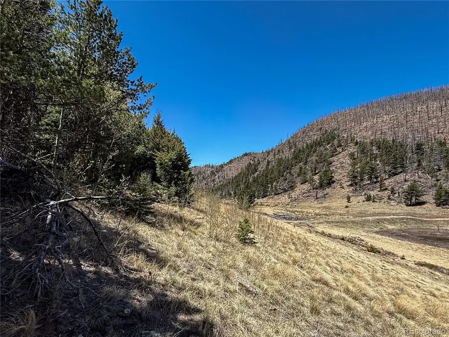 2348 Benton Place, Fort Garland, CO 81133 - #2